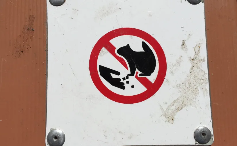 Signs that made me smile