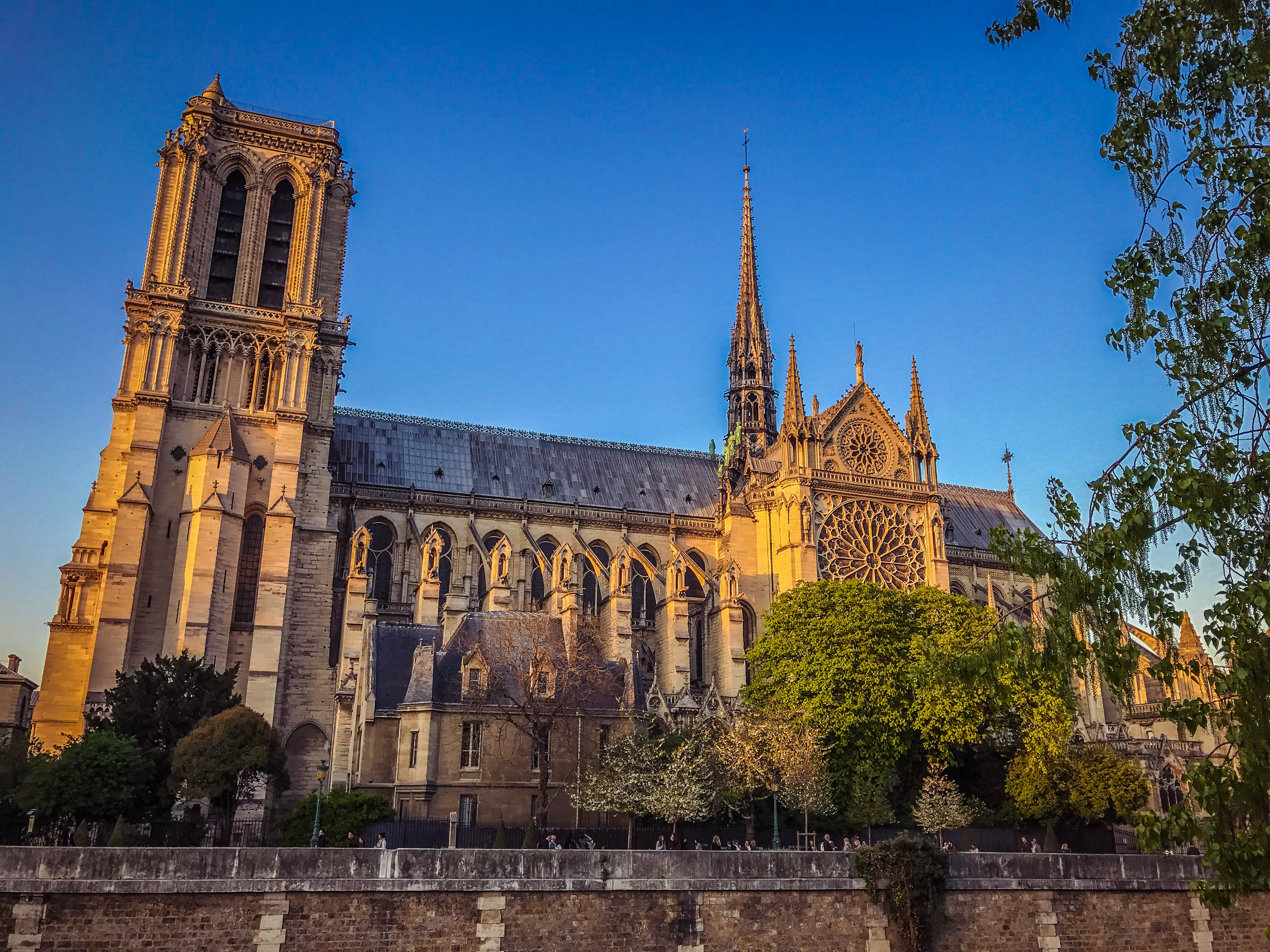 Notre Dame cathedral – Hillfamily dot net