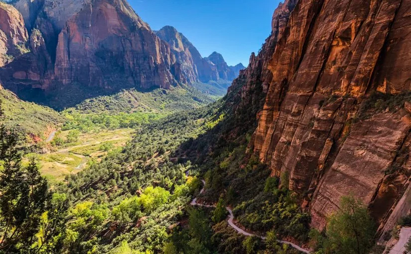 Old Men in Zion with their families